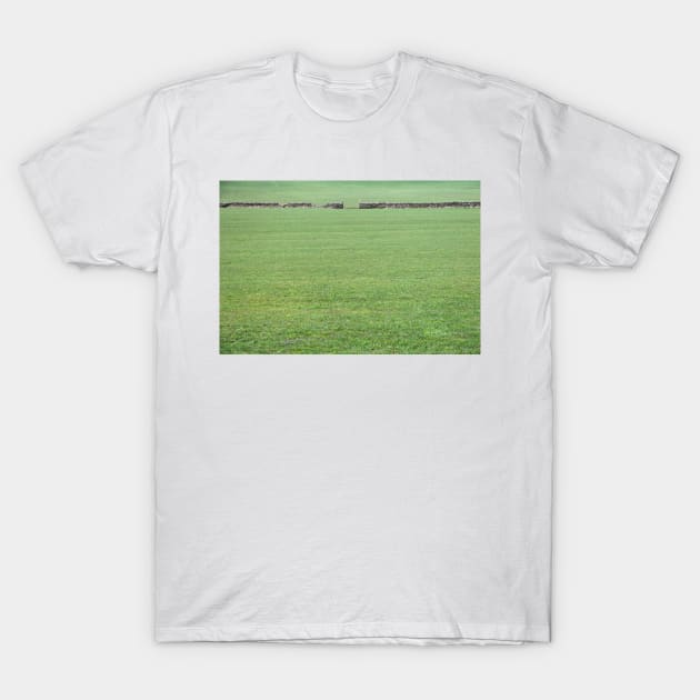 Green Green Grass Of Home T-Shirt by acespace